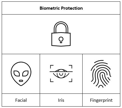 Figure 1: Biometric Data protection